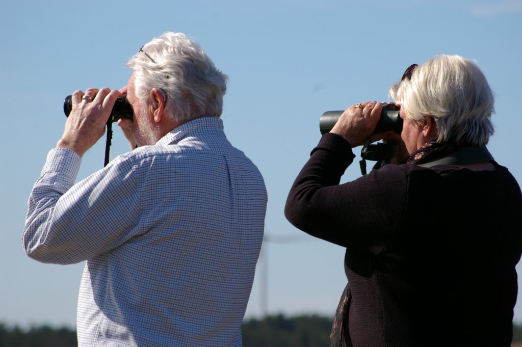 Examining the whole life vs indexed life insurance.  Pic of two people looking through binoculars