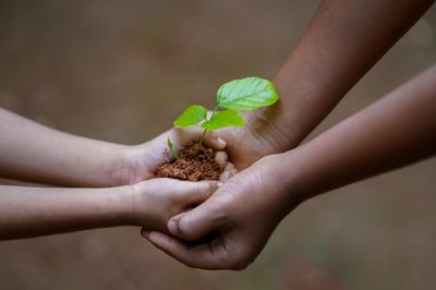 two hands holding a small plant representing using premium finance and life insurance to support charities