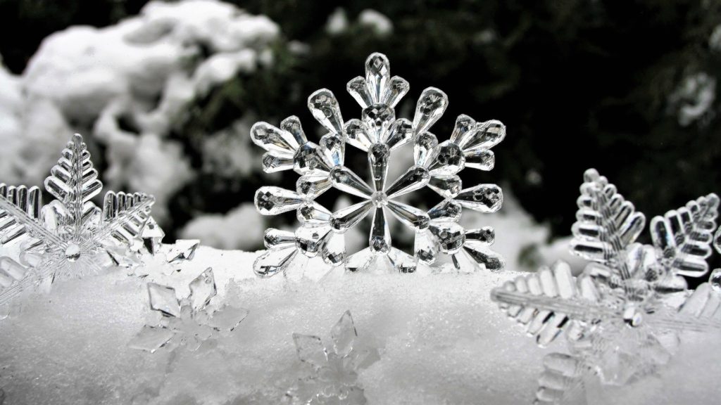 picture of snowflakes representing the season of charitable giving with life insurance
